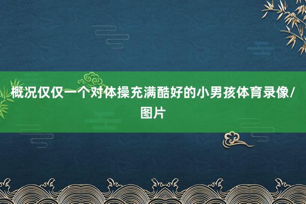 概况仅仅一个对体操充满酷好的小男孩体育录像/图片