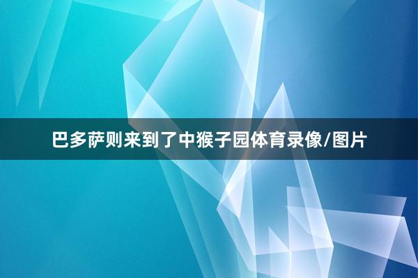 巴多萨则来到了中猴子园体育录像/图片